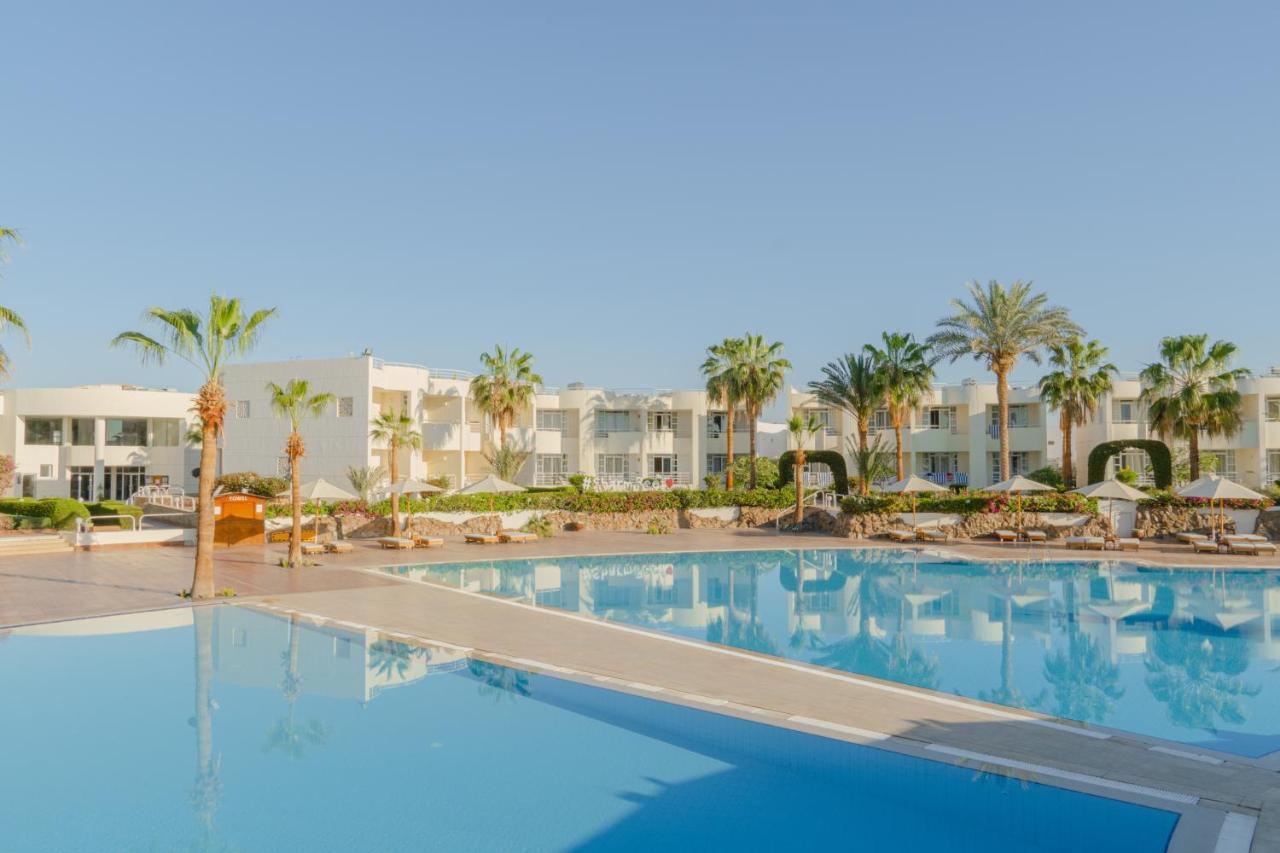 Reef 4* Sharm el Sheikh