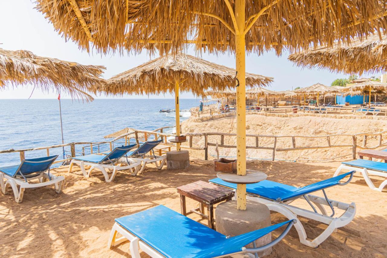 Reef Sharm el Sheikh