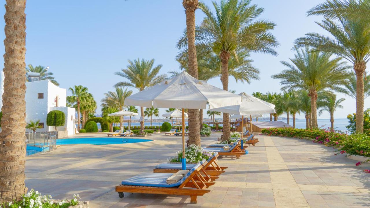 Club Sharm el Sheikh
