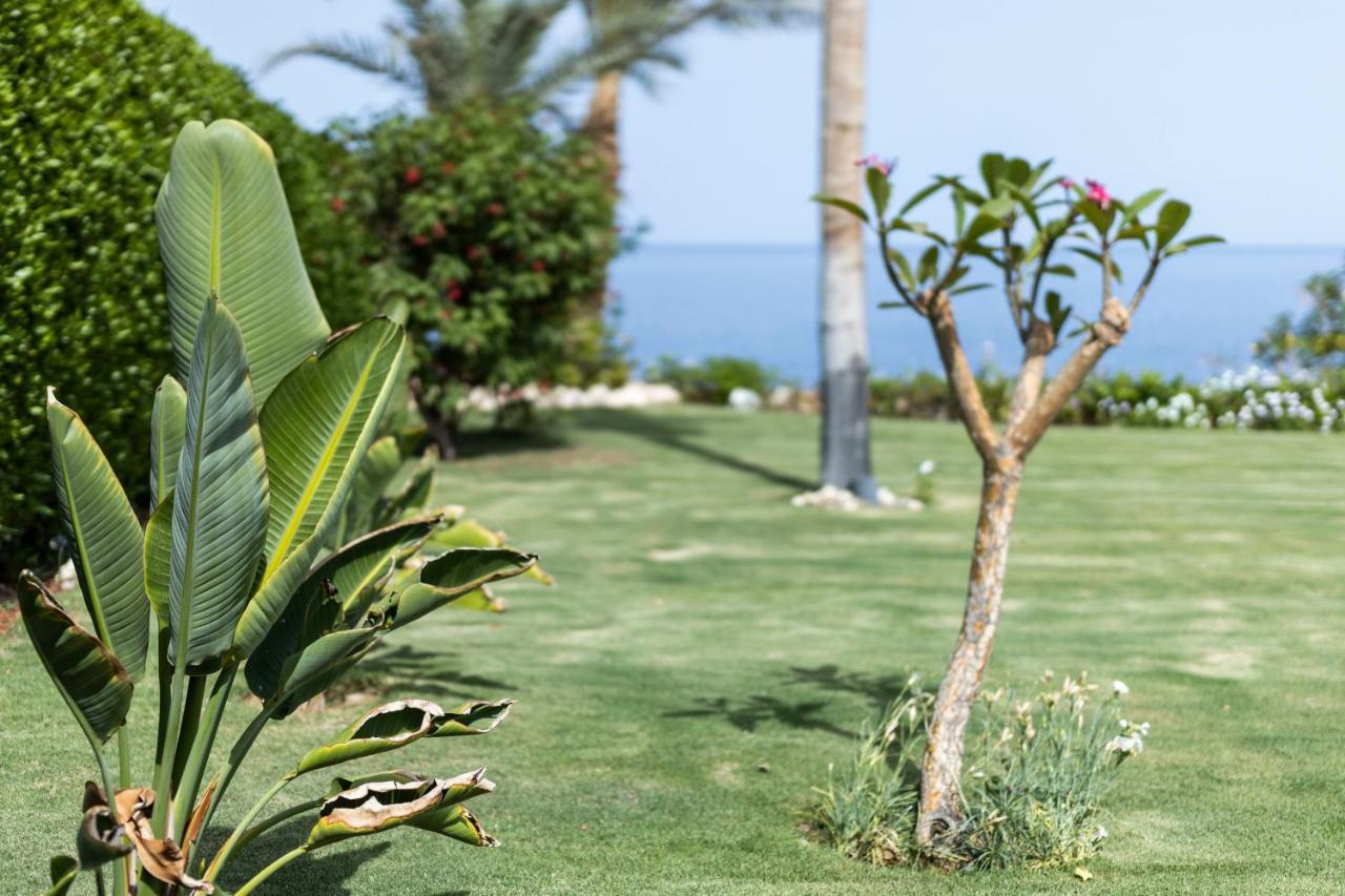 Villa With Sea View At Sheraton Hotel, Resort, & Spa - Private Sharm el-Sheikh