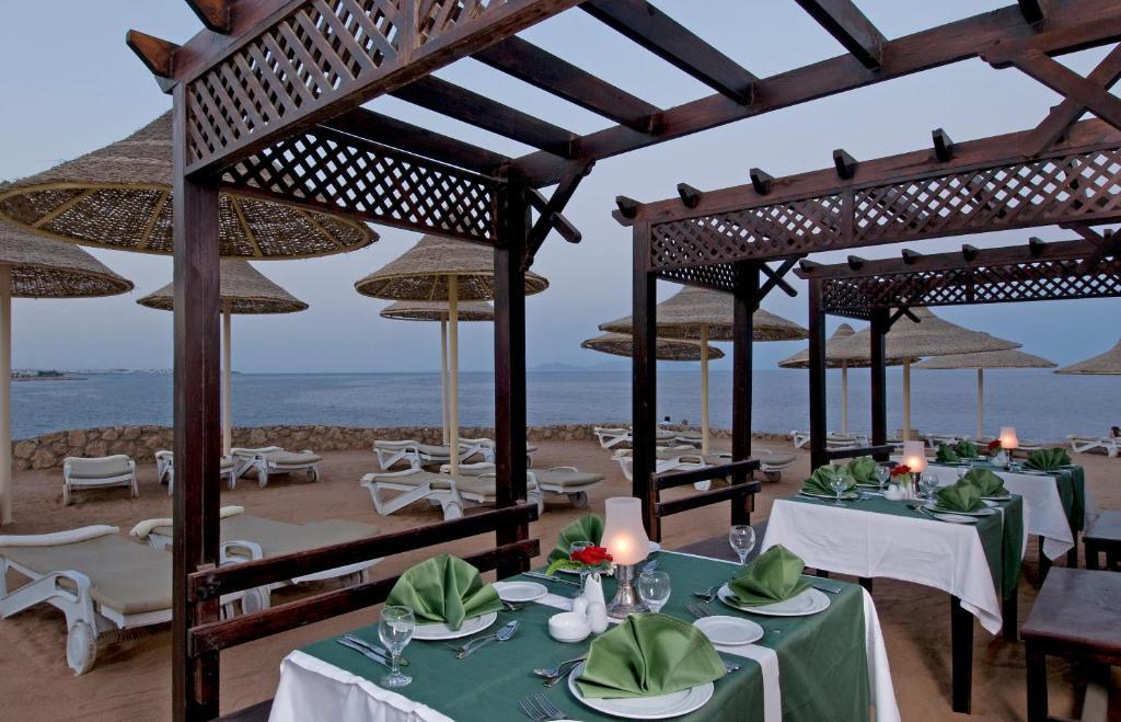 Resort Dreams - Sheikh 5*