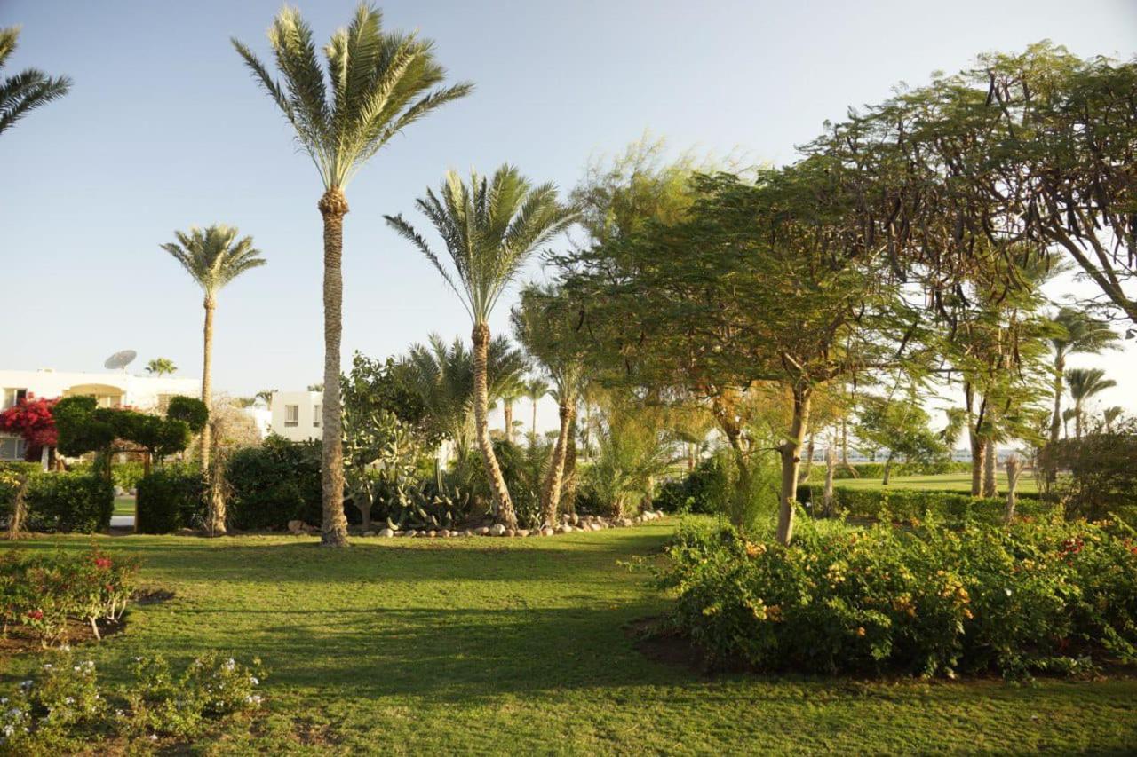 Aparthotel Adel's Sharm el-Sheikh