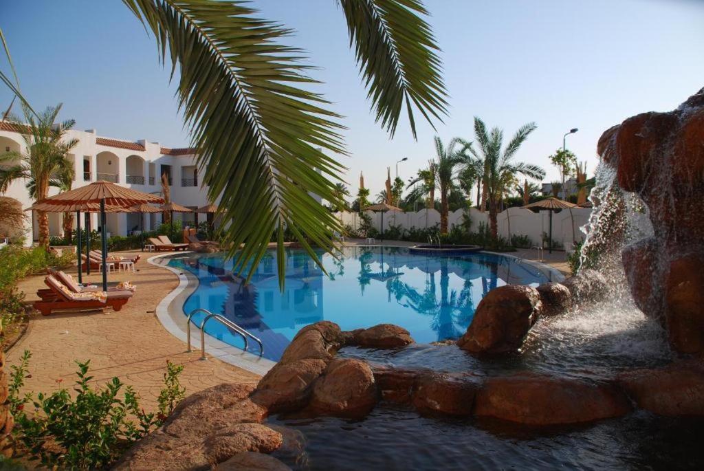 Al-sheikh, Egypt - *