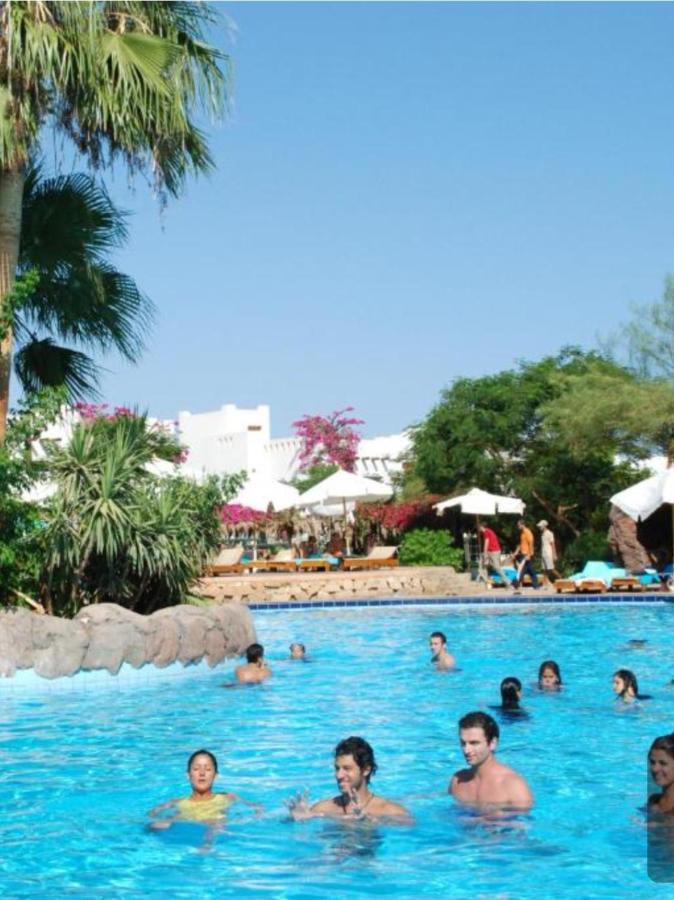 Apartment Delta Resort. Studio. Sheikh