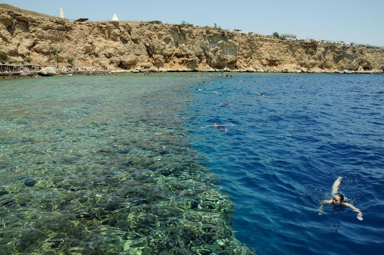 Resort Dreams Vacation - Sheikh Şarm El-Şeyh