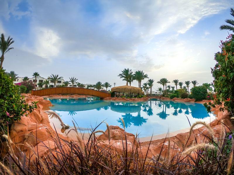 Romance Regency Club***** 5*