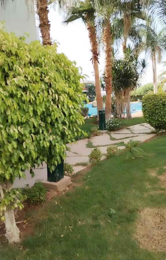 Apartment دلتا شرم *