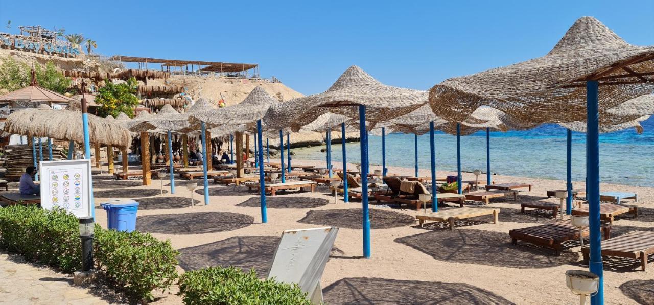 Sharks Bay Oasis Soft Only & Diving Center Hotel 4*
