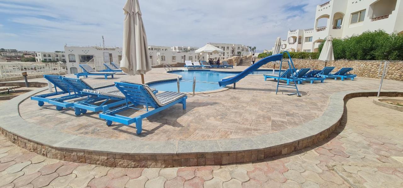 Sharks Bay Oasis Soft Only & Diving Center