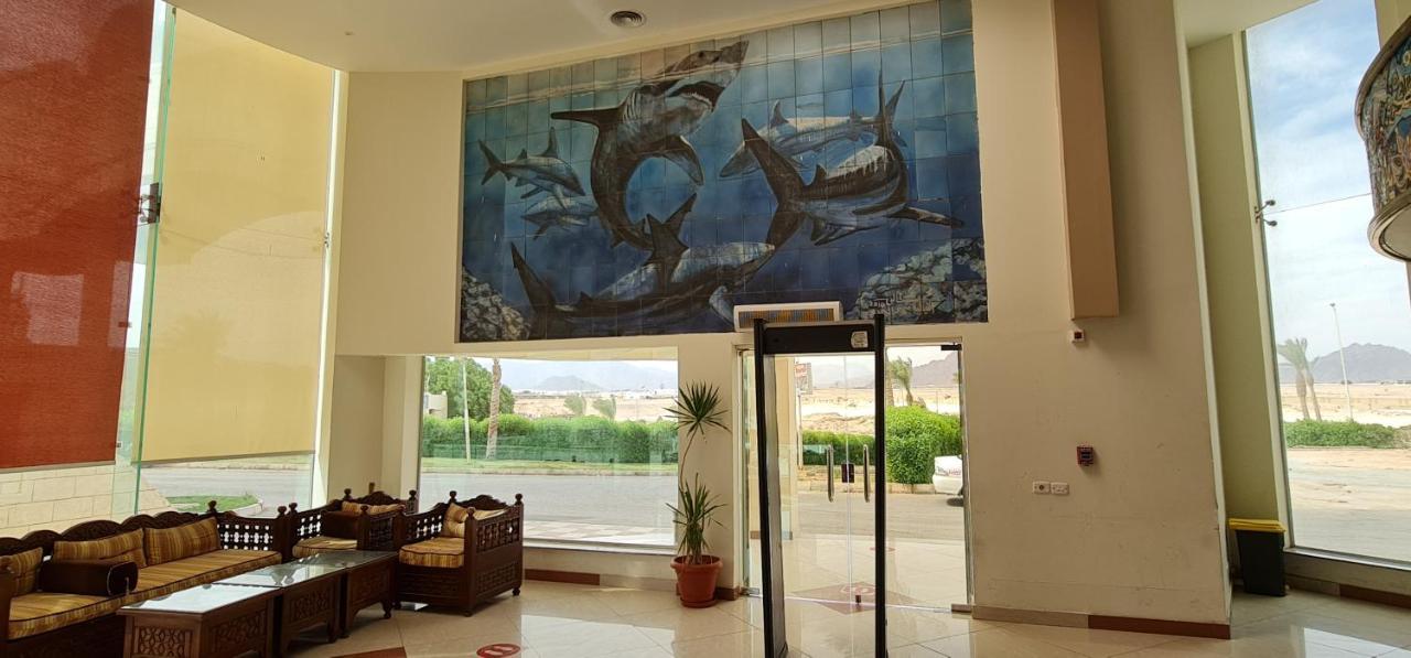 Sharks Bay Oasis Soft Only & Diving Center 4* Sharm El-Sheikh