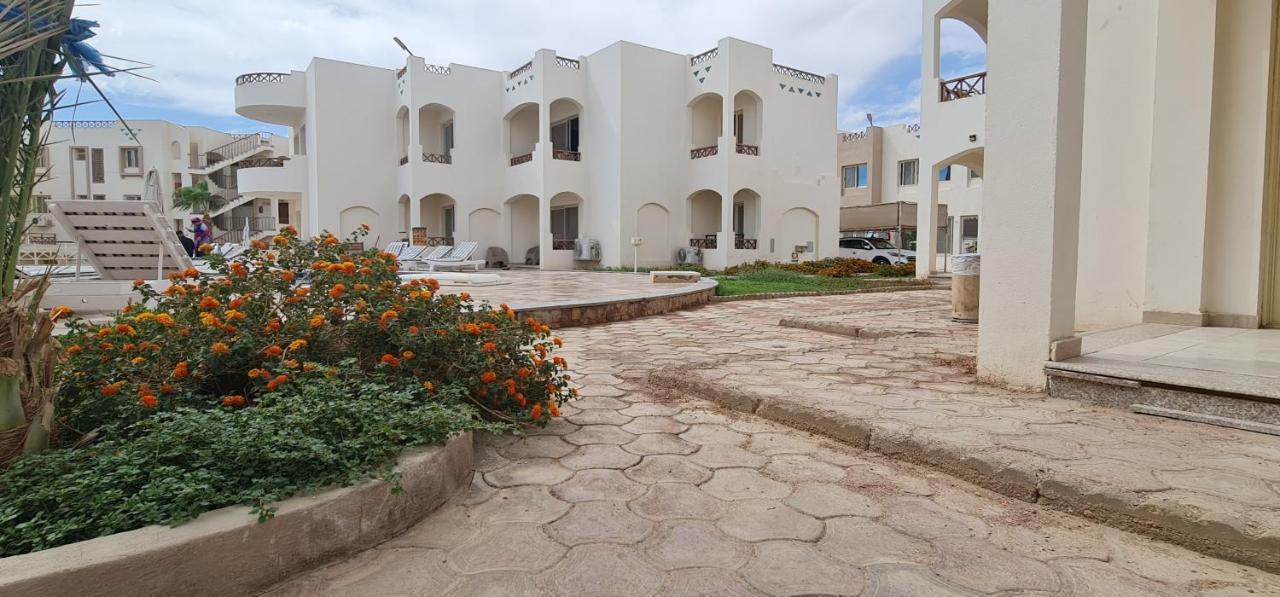 Sharks Bay Oasis Soft Only & Diving Center Sharm El-Sheikh