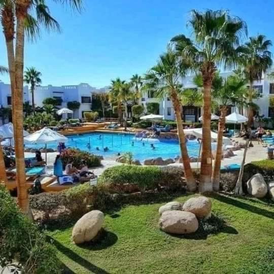 Normally * Sharm El-Sheikh