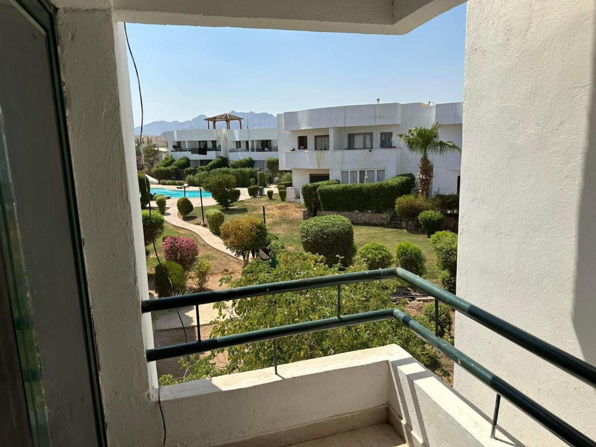 Apartment Criss