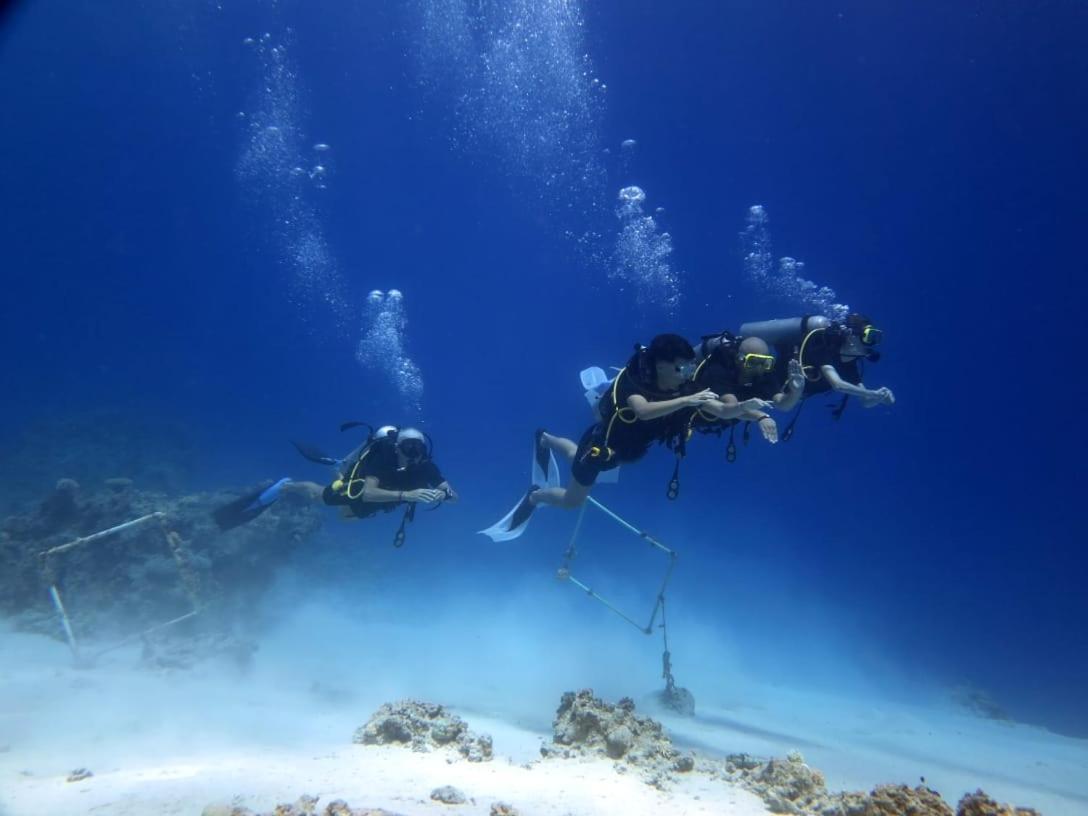 Sharks Bay Oasis & Butterfly Diving Center Hotel 4*