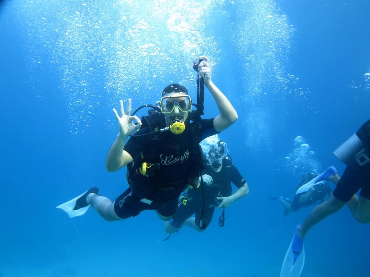 Sharks Bay Oasis & Butterfly Diving Center