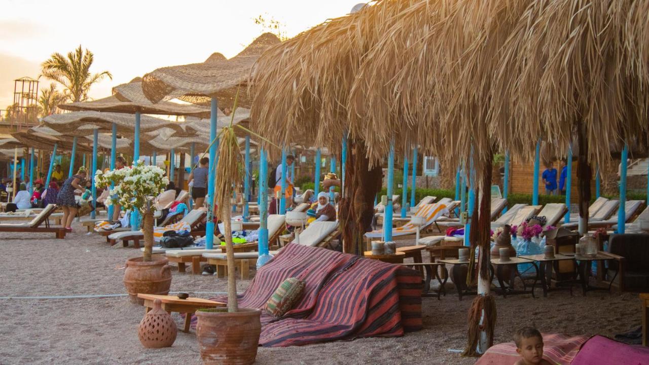 Sharks Bay Oasis & Butterfly Diving Center Hotel