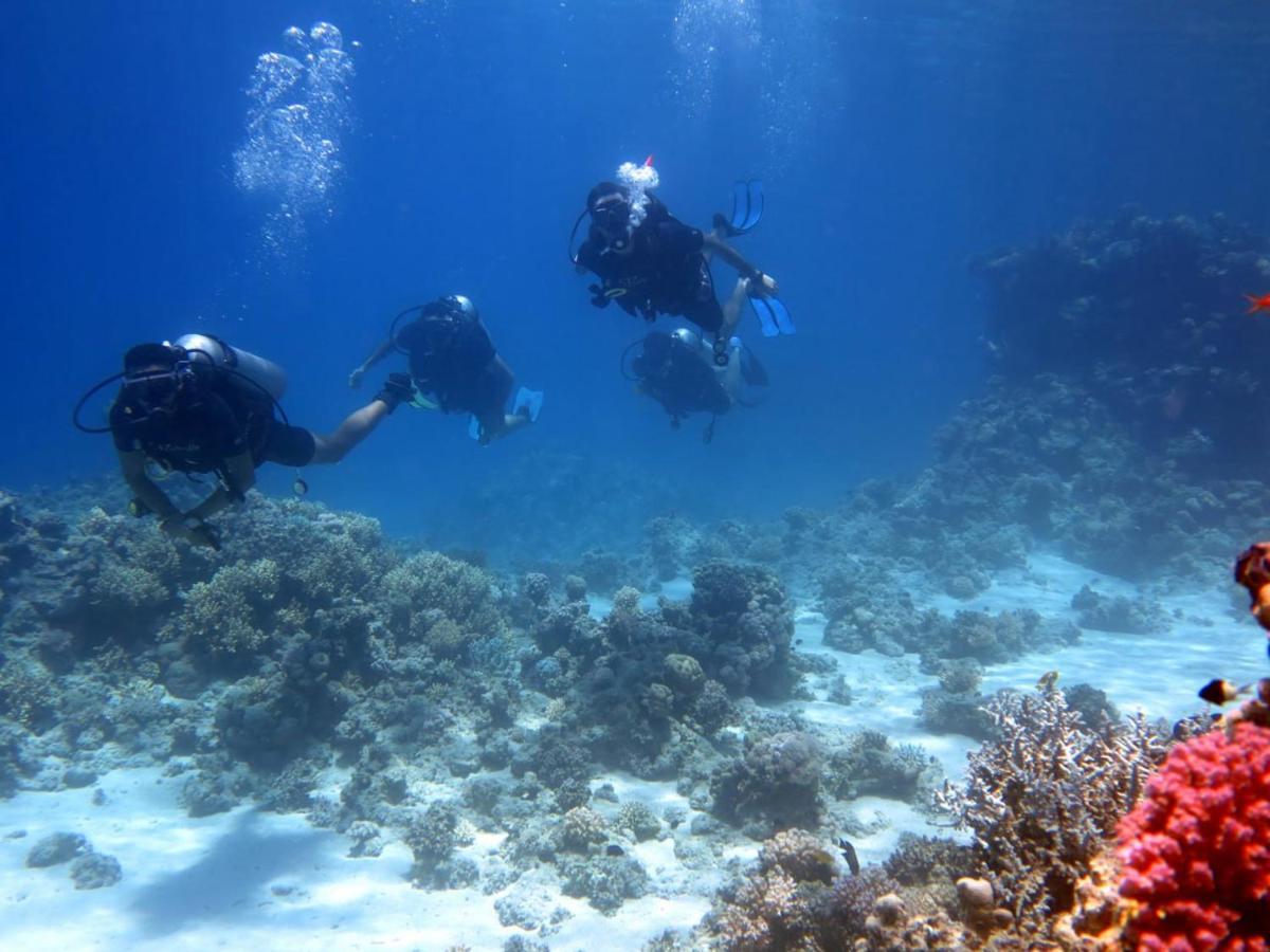 Sharks Bay Oasis & Butterfly Diving Center 4* Sharm el-Sheikh