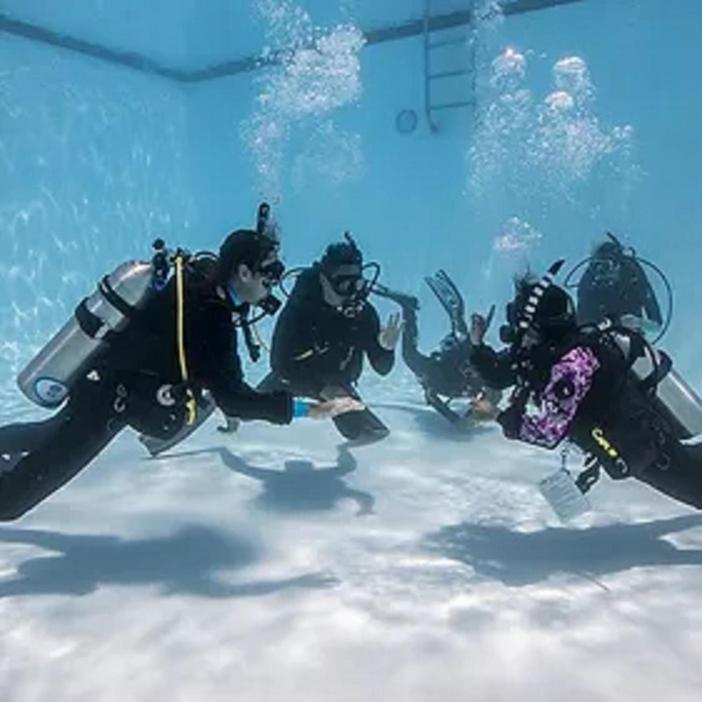 Sharks Bay Oasis & Butterfly Diving Center Sharm el-Sheikh