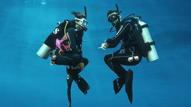 Hotel Sharks Bay Oasis & Butterfly Diving Center
