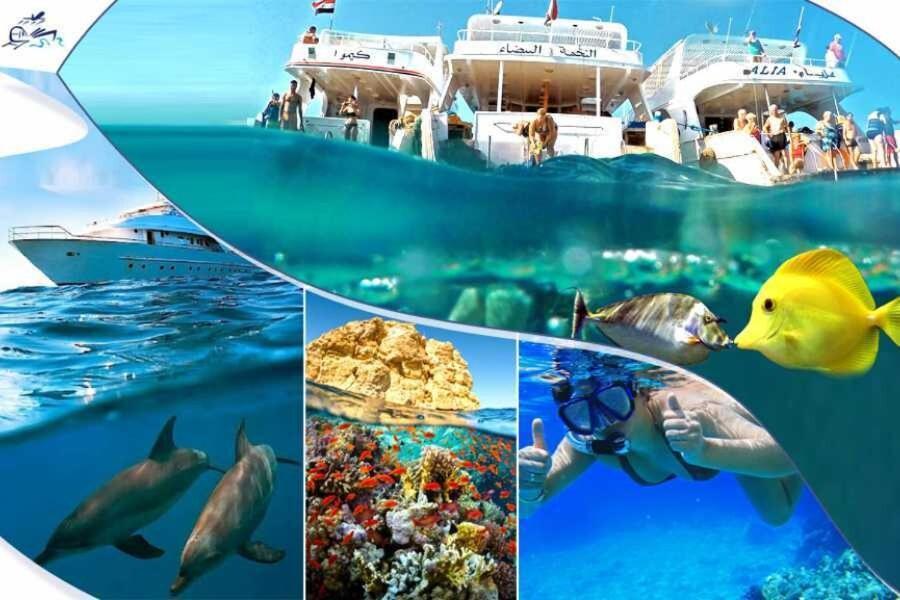 Hotel Sharks Bay Oasis & Butterfly Diving Center