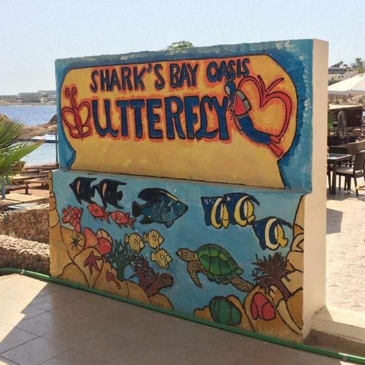 Sharks Bay Oasis & Butterfly Diving Center Hotel 4*