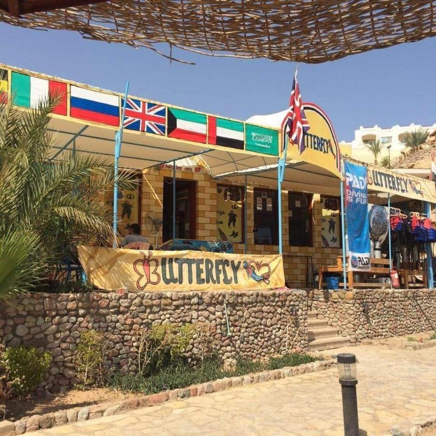 Sharks Bay Oasis & Butterfly Diving Center 4*