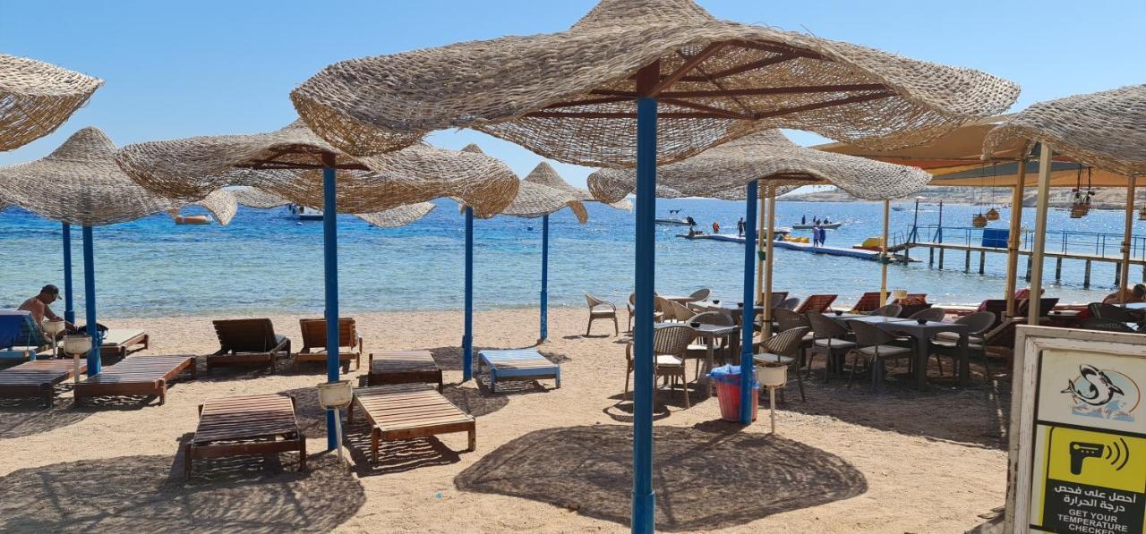Hotel Sharks Bay Oasis & Butterfly Diving Center 4*