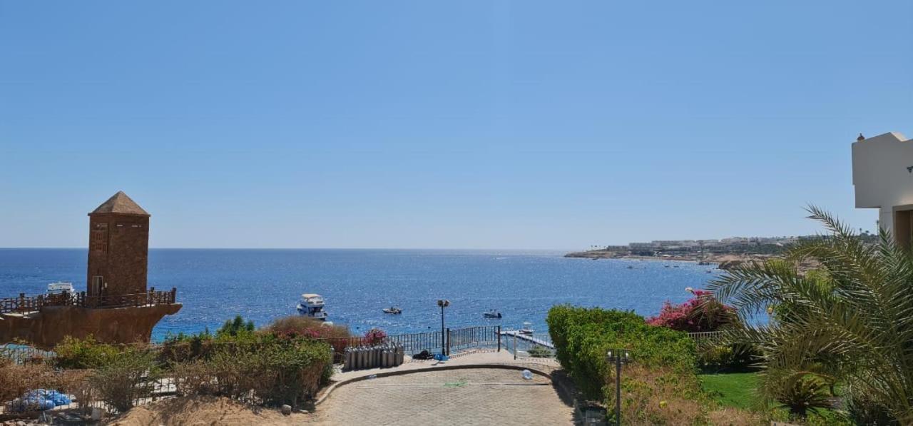 Hotel Sharks Bay Oasis & Butterfly Diving Center 4*