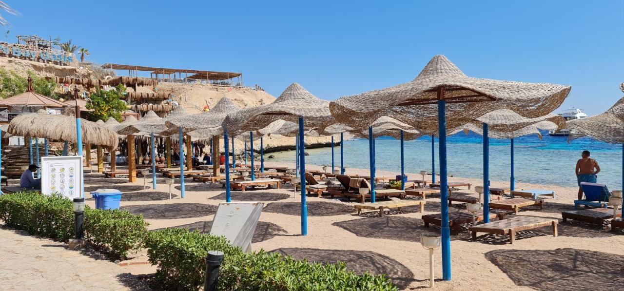 Hotel Sharks Bay Oasis & Butterfly Diving Center