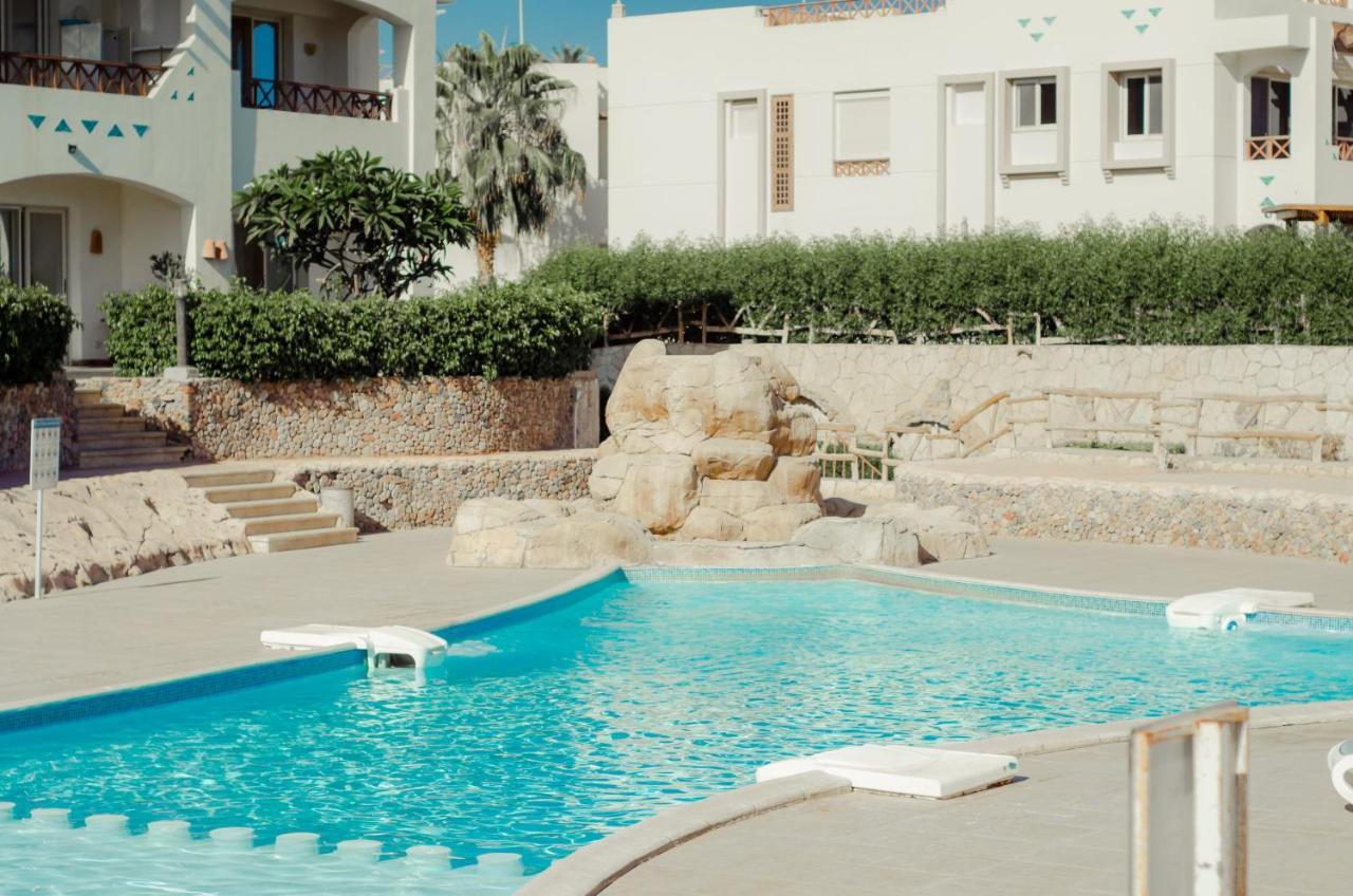 Sharks Bay Oasis & Butterfly Diving Center