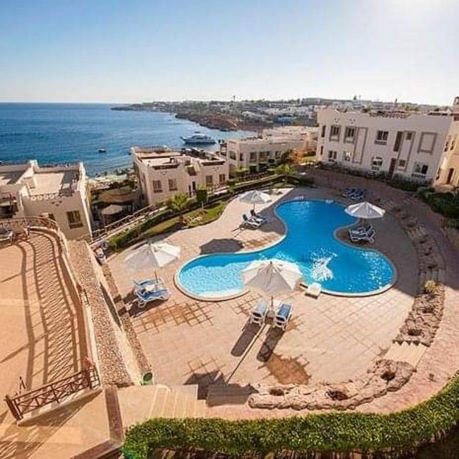 Sharks Bay Oasis & Butterfly Diving Center Hotel 4*