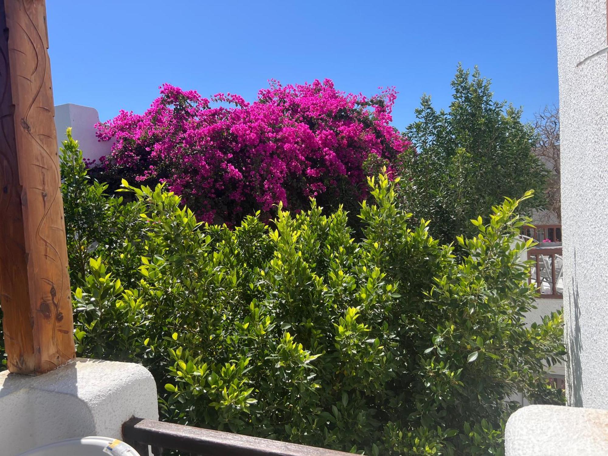Delta Apartment Sharm el-Sheikh