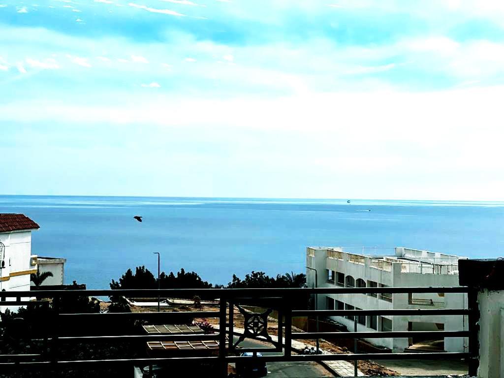 Montazah Seaside Homes Apartment *