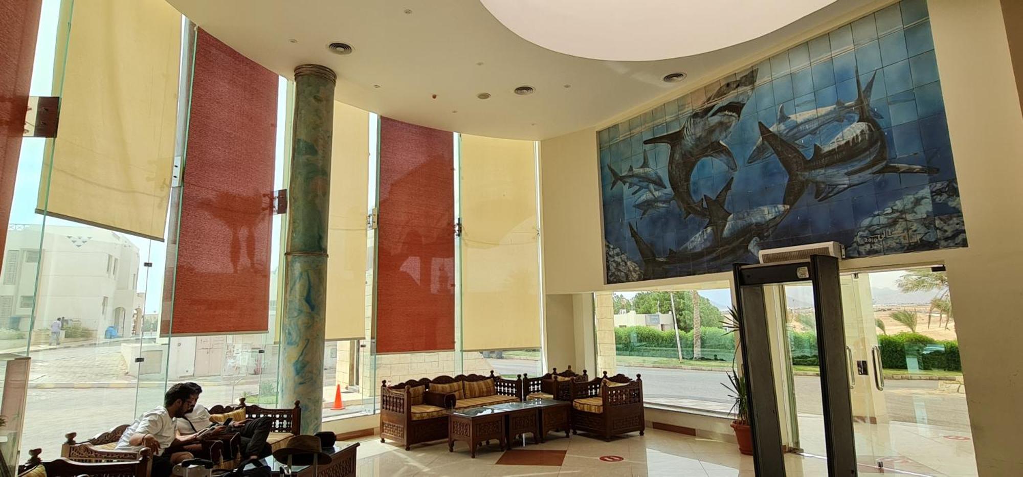 Hotel Sharks Bay Oasis & Butterfly Diving Center Sharm el-Sheikh