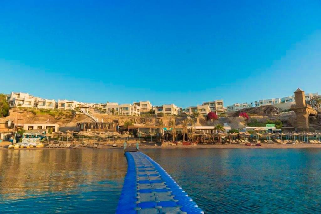 Sharks Bay Oasis & Butterfly Diving Center