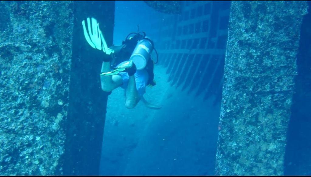 Sharks Bay Oasis & Butterfly Diving Center Hotel Sharm el-Sheikh