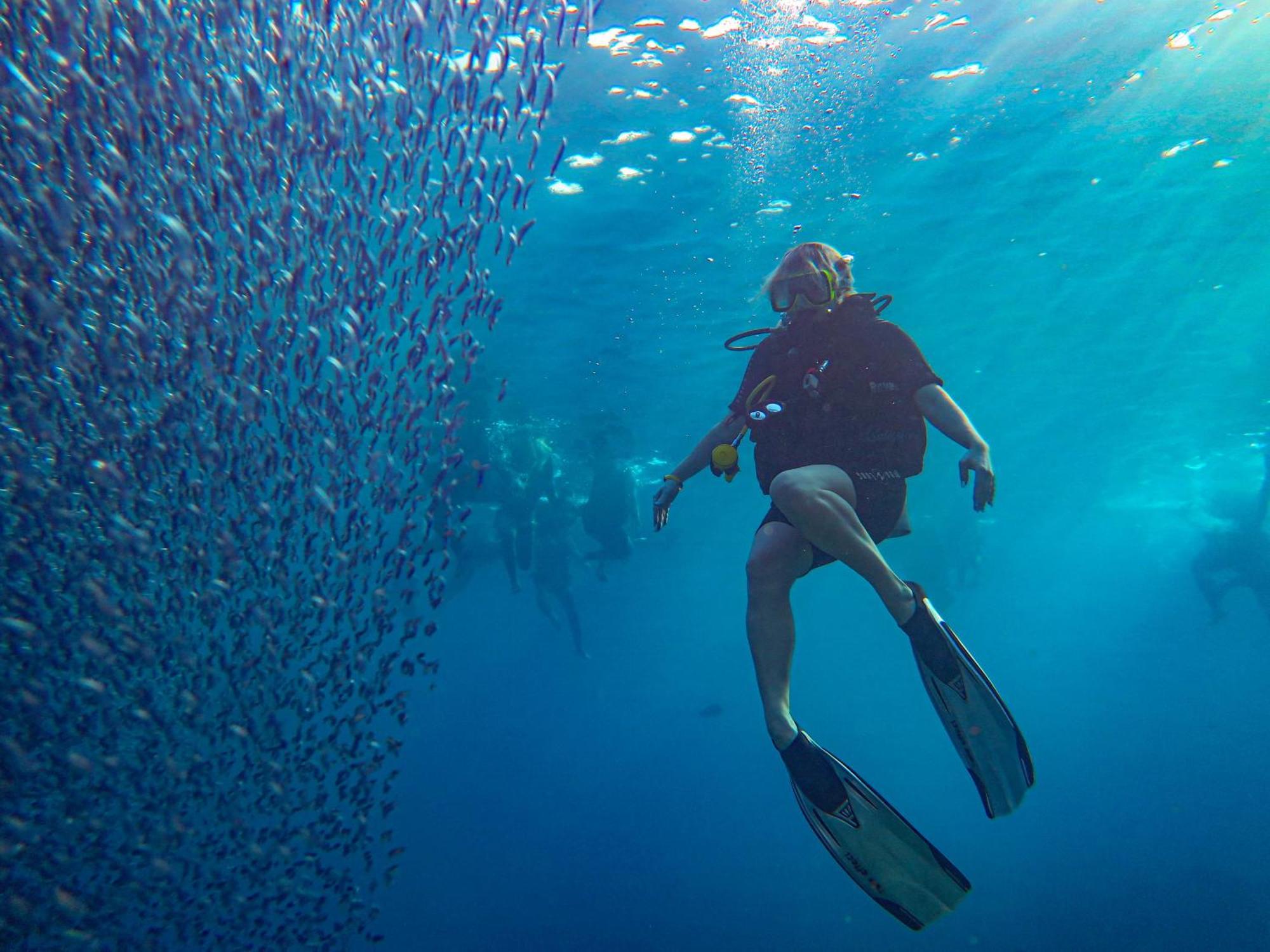 Hotel Sharks Bay Oasis & Butterfly Diving Center