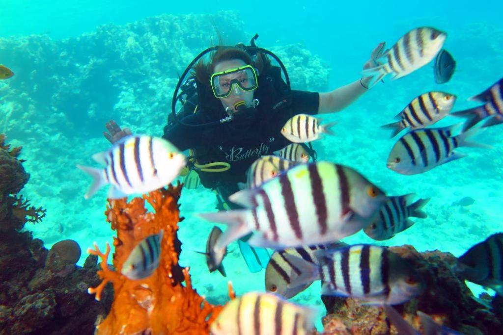Hotel Sharks Bay Oasis & Butterfly Diving Center 4*