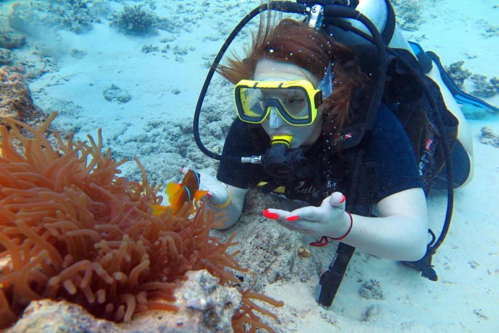 Sharks Bay Oasis & Butterfly Diving Center Sharm el-Sheikh