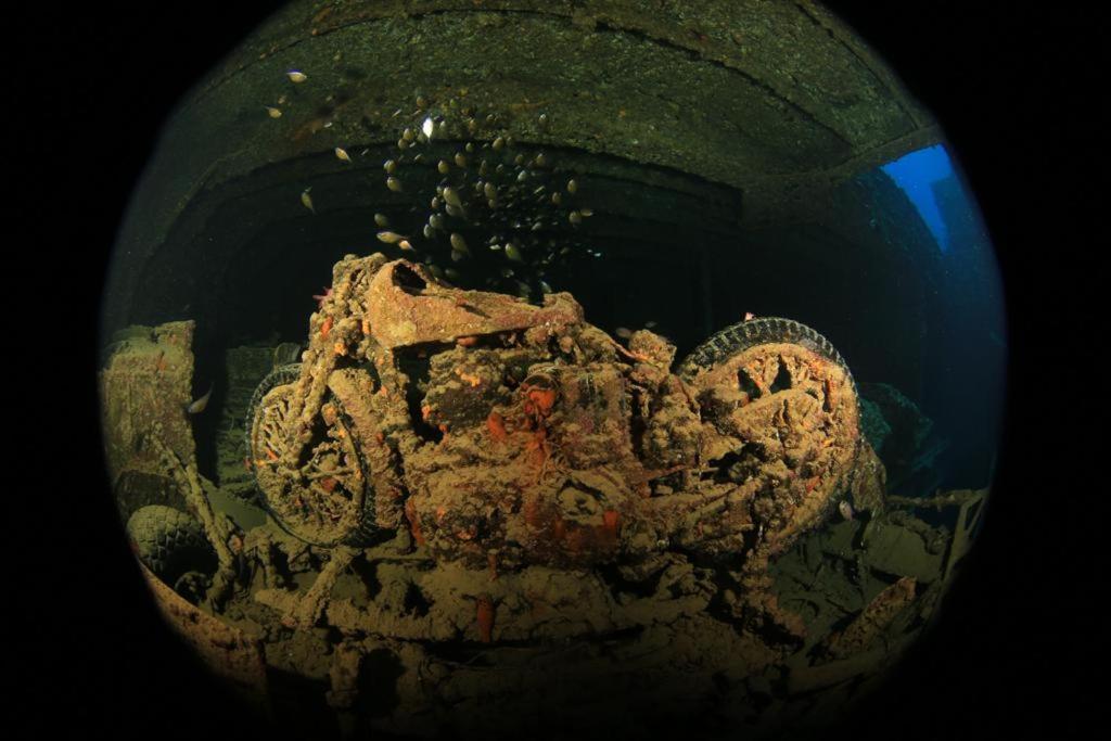 Hotel Sharks Bay Oasis & Butterfly Diving Center