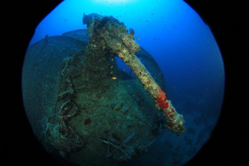 Hotel Sharks Bay Oasis & Butterfly Diving Center Sharm el-Sheikh