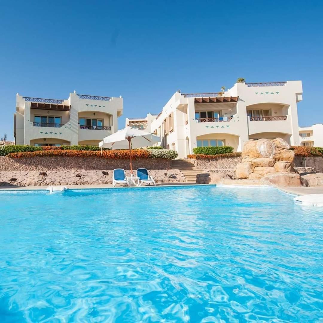Sharks Bay Oasis & Butterfly Diving Center Hotel 4*