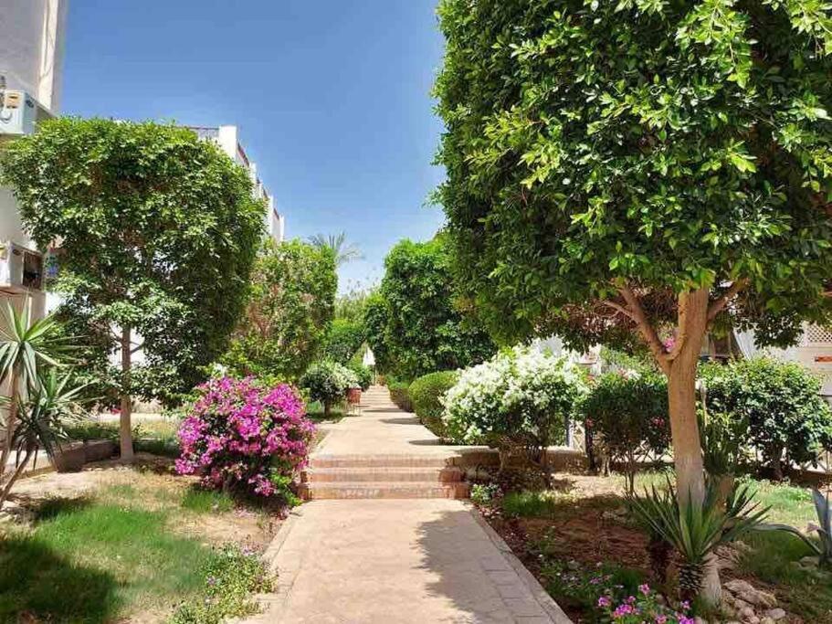 Riviera - Pool View & Wifi Apartamento