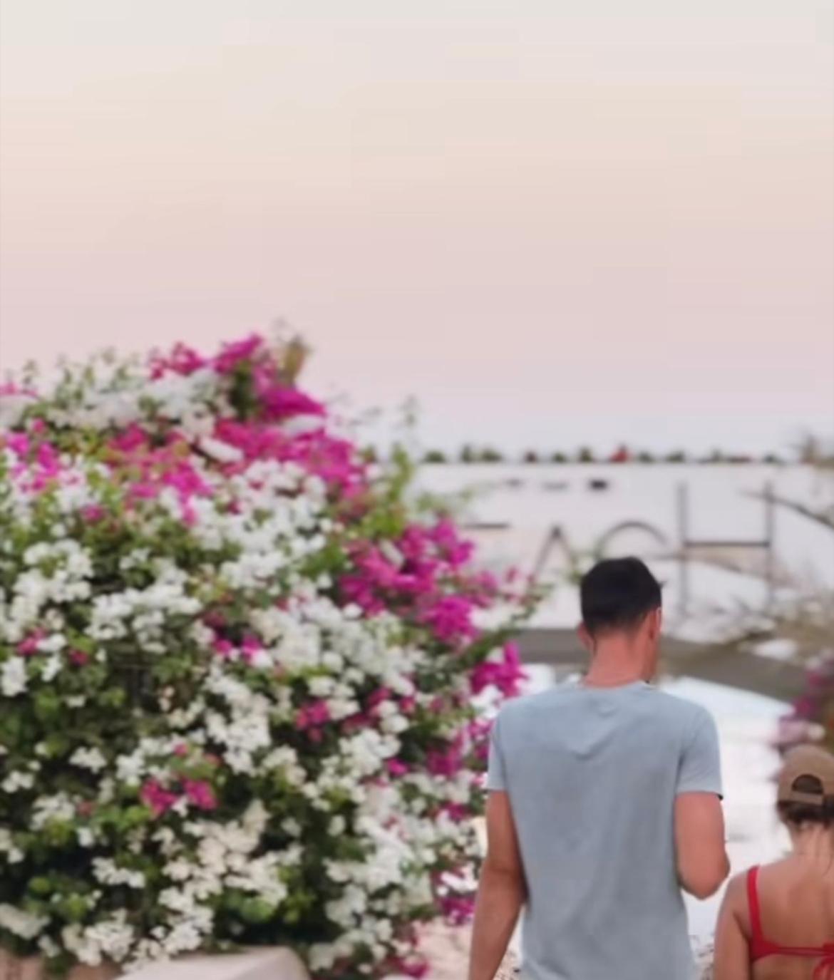 Domina Coral Bay
