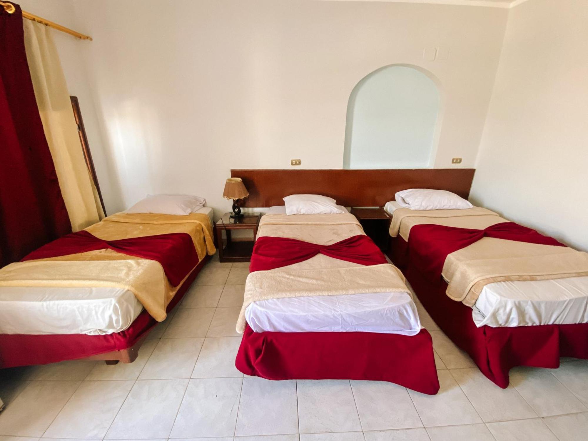 Hotel Halomy