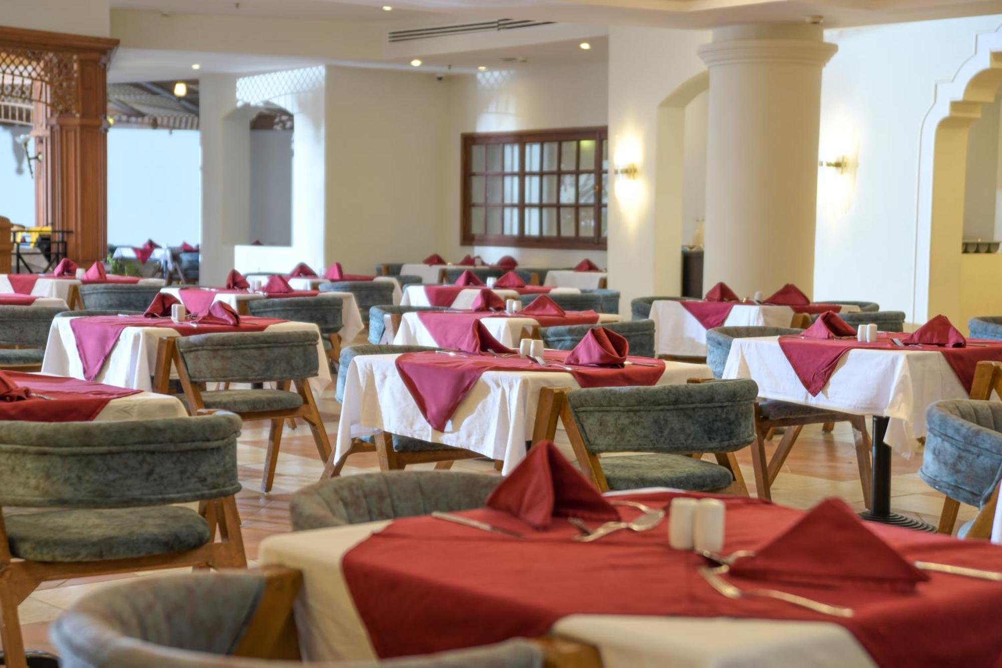 Ivy Cyrene Adults Friendly 13 4*