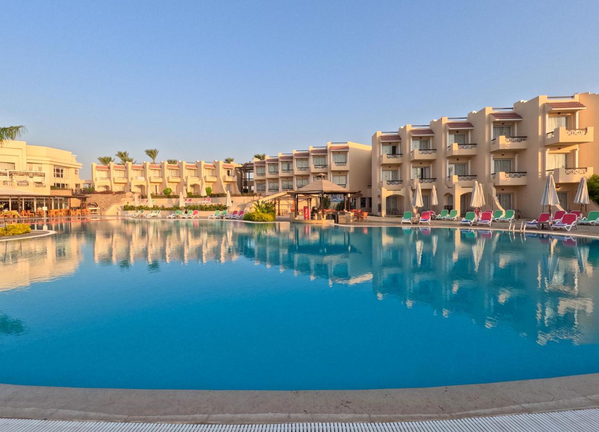 Ivy Cyrene Adults Friendly 13
