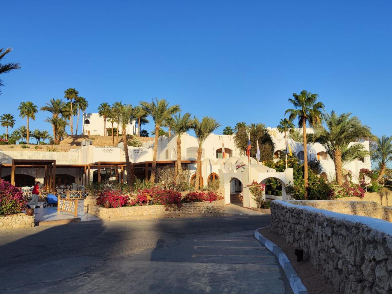Domina Coral Bay