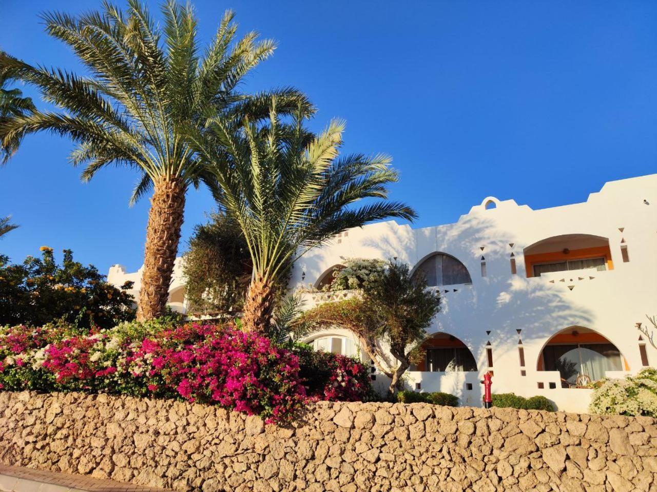 Apartment Domina Coral Bay Sharm el-Sheikh