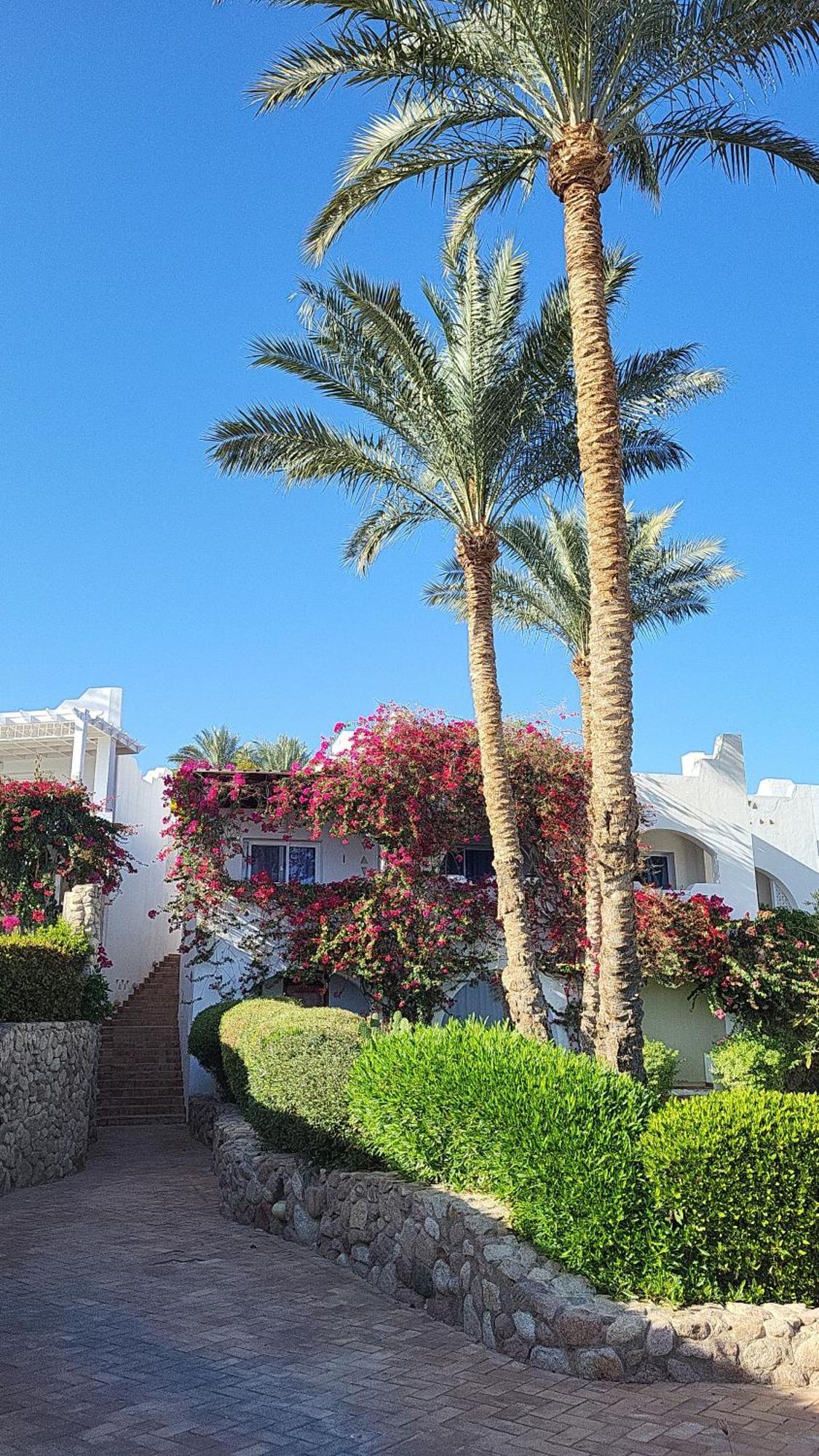 Domina Coral Bay Apartment *